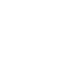 Evolution Gaming icon